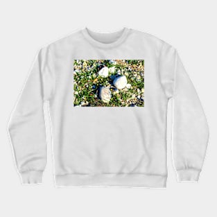 Shot from Santarelli lakes in Piane di Moresco with different white stones interspersed with green grass and yellow flowers Crewneck Sweatshirt